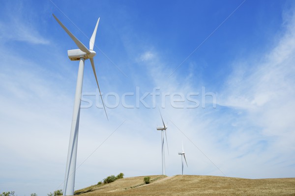 wind energy Stock photo © pedrosala