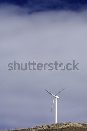 Szél energia szélmalom megújuló elektromos gyártás Stock fotó © pedrosala