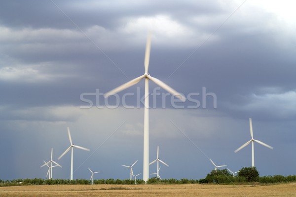 Grupy burzliwy niebo charakter krajobraz technologii Zdjęcia stock © pedrosala