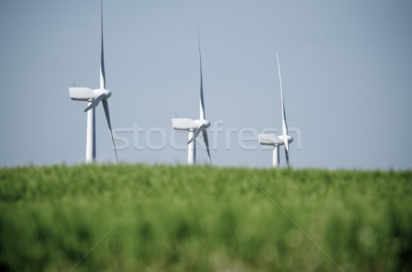 windmills Stock photo © pedrosala