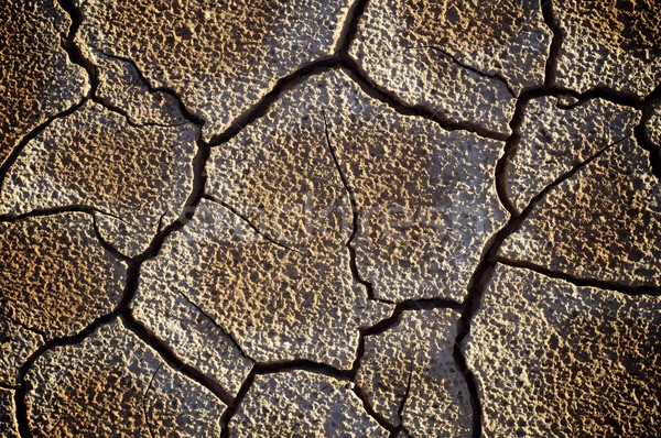Sár repedések textúra háttér Föld nyár Stock fotó © pedrosala