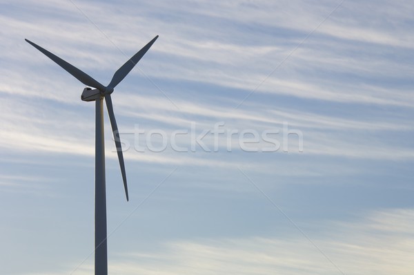 windmill Stock photo © pedrosala