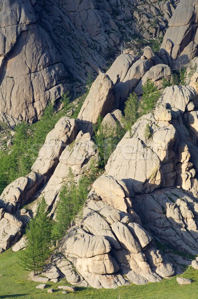 Mongolian landscape Stock photo © pedrosala