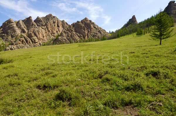 Mongolian landscape Stock photo © pedrosala