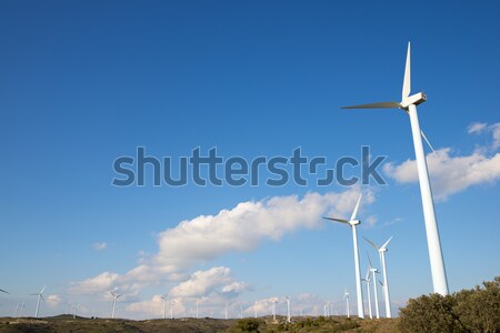 Fırıldak yenilenebilir elektrik enerji üretim mavi gökyüzü Stok fotoğraf © pedrosala