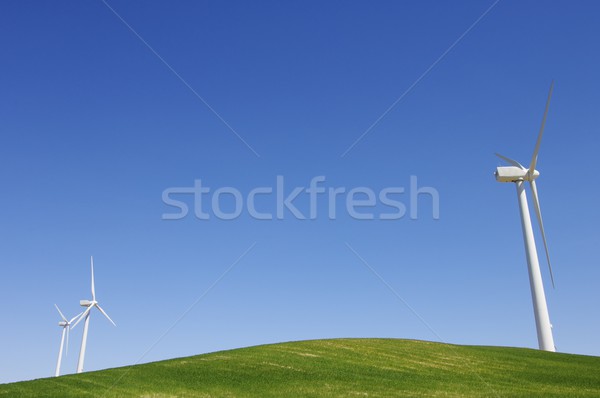 three windmills Stock photo © pedrosala