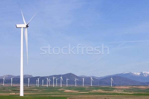 idyllic windmills  Stock photo © pedrosala