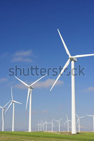 wind energy Stock photo © pedrosala