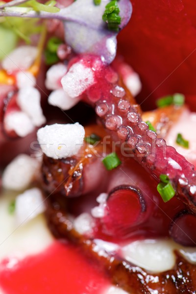 Polvo legumes comida peixe vermelho prato Foto stock © pedrosala