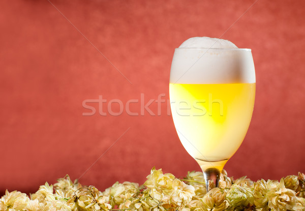 Glasses of beer with hop Stock photo © pekour