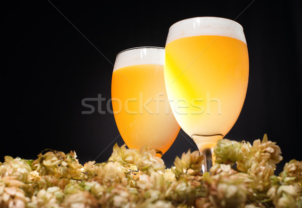 Two glasses of beer with hop Stock photo © pekour
