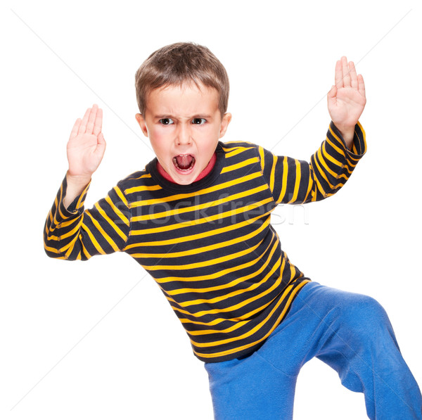 каратэ Kid ярость изолированный белый мальчика Сток-фото © pekour