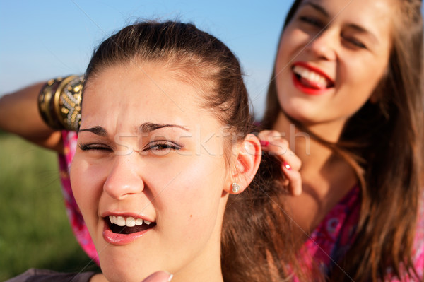 Tight plait Stock photo © pekour