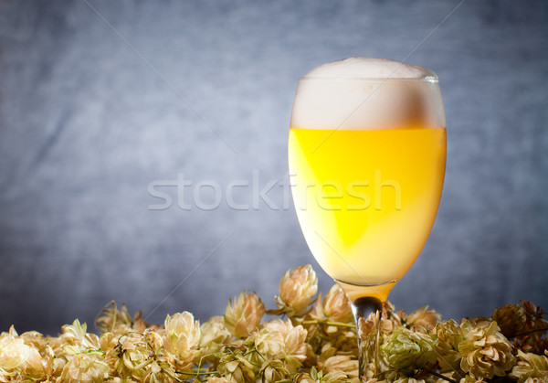 Glasses of beer with hop Stock photo © pekour