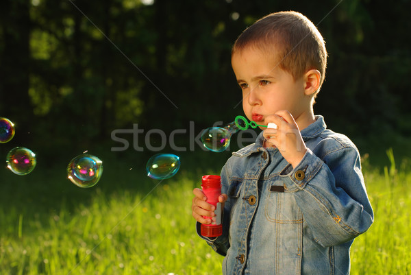小 男孩 氣泡 日落 戶外活動 森林 商業照片 © pekour