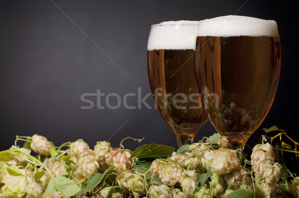 Two glasses of beer froth with hop Stock photo © pekour