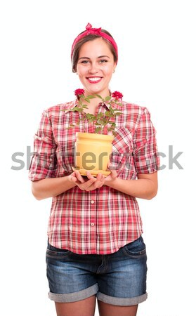 Happy housewife in kerchief with flower pot Stock photo © pekour