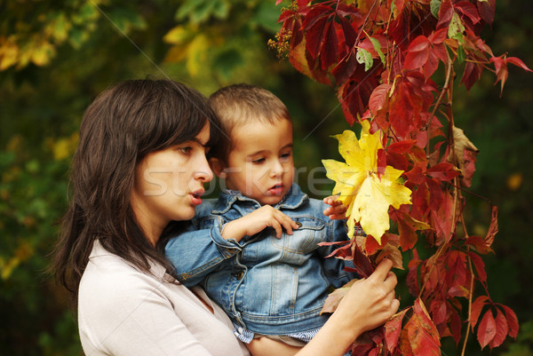 Woman and boy pick up leaves Stock photo © pekour
