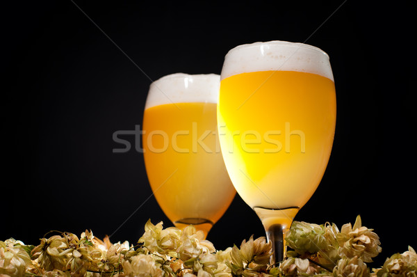 Two glasses of beer with hop Stock photo © pekour