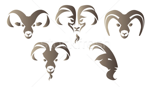 Ziege logo Set Illustration braun Kopf Stock foto © penivajz