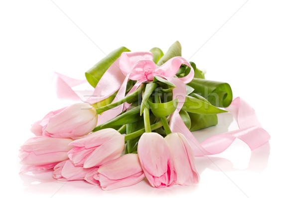 pink tulips Stock photo © Peredniankina