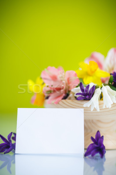 Belle bouquet fleurs du printemps vert printemps jardin [[stock_photo]] © Peredniankina