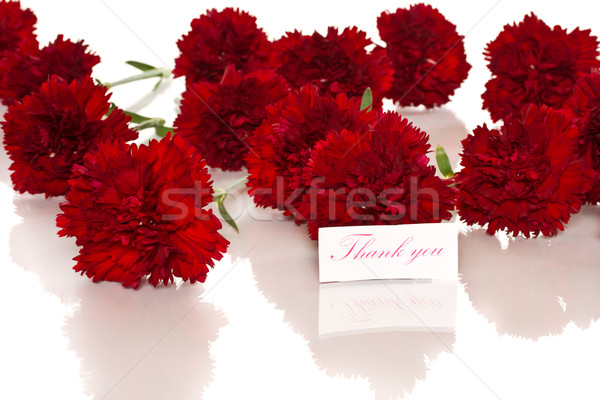 Dziękuję karty wdzięczność kwiaty biały kwiat Zdjęcia stock © Peredniankina