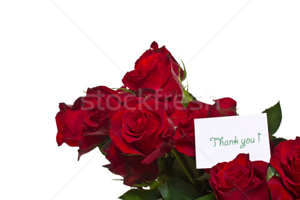 red roses Stock photo © Peredniankina