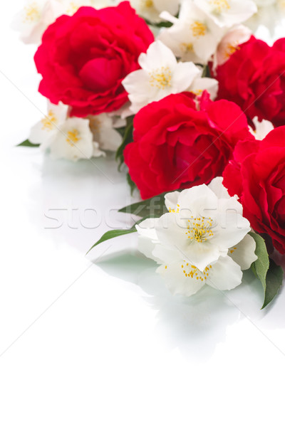 branch blooming jasmine with roses  Stock photo © Peredniankina