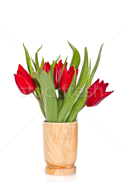 red tulips Stock photo © Peredniankina