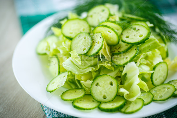 Printemps salade chou concombres plaque jardin [[stock_photo]] © Peredniankina