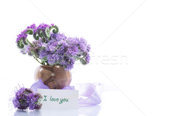 Bouquet Blumen blau weiß Natur Hintergrund Stock foto © Peredniankina