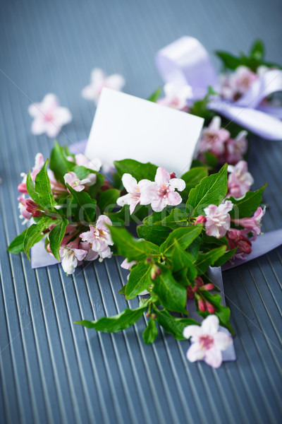 美麗 粉紅色 花卉 木桌 木 背景 商業照片 © Peredniankina