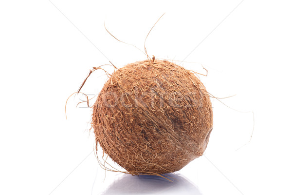 кокосового волосатый низкий перспективы изолированный белый Сток-фото © Peredniankina