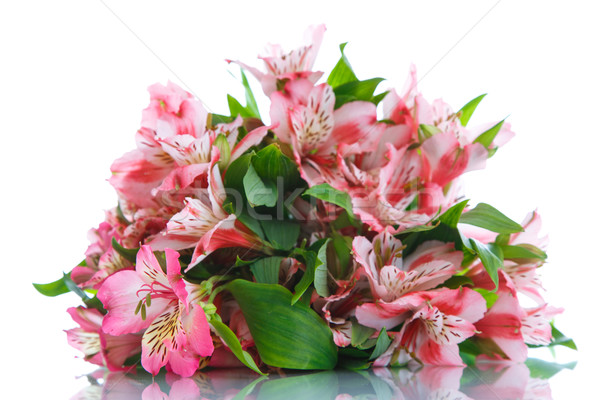 Belle bouquet fleurs fleur printemps design [[stock_photo]] © Peredniankina