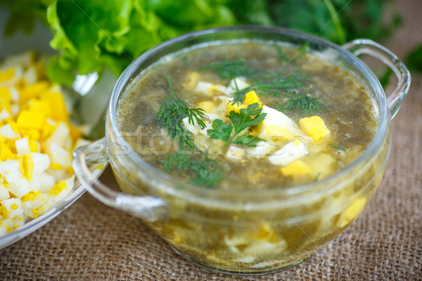 green soup with eggs and sorrel  Stock photo © Peredniankina