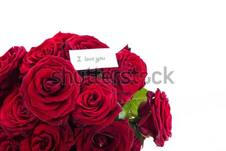 Rose rosse dichiarazione amore bianco fiore rosa Foto d'archivio © Peredniankina