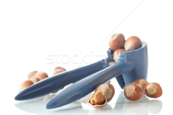 Haselnuss viele Haselnüsse Obst Gruppe Shell Stock foto © Peredniankina
