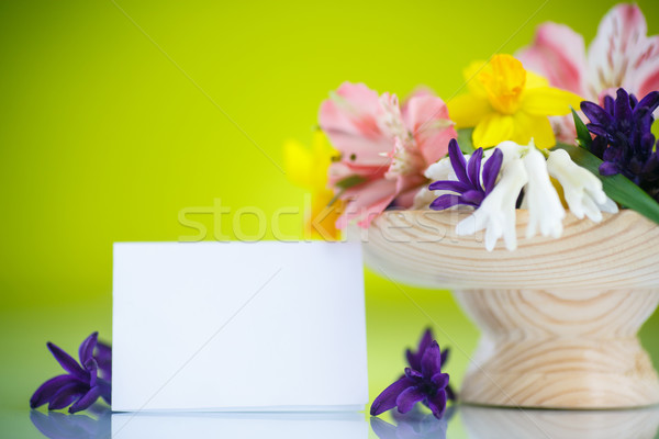 Bella bouquet fiori di primavera verde primavera giardino Foto d'archivio © Peredniankina