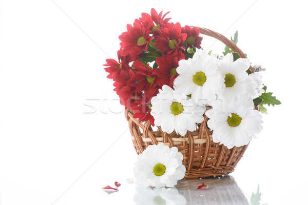 Foto stock: Rojo · blanco · cesta · flores · belleza · verano