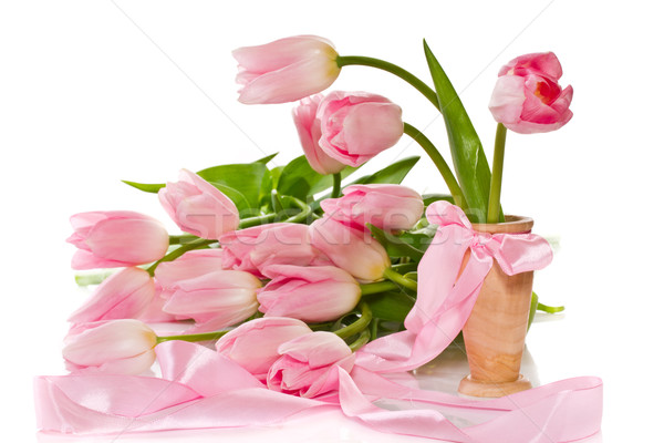 pink tulips Stock photo © Peredniankina