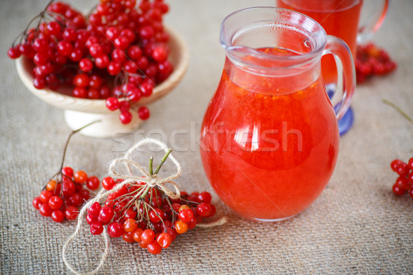 viburnum compote Stock photo © Peredniankina