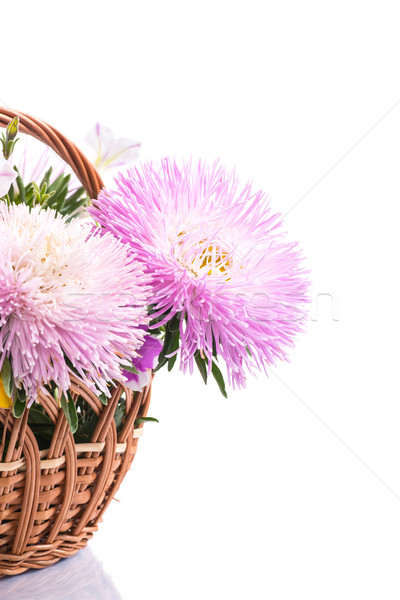 Stock photo: bouquet of asters 