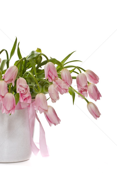 Różowy tulipany piękna świeże biały Wielkanoc Zdjęcia stock © Peredniankina