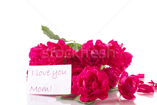 Stock photo: bouquet of roses