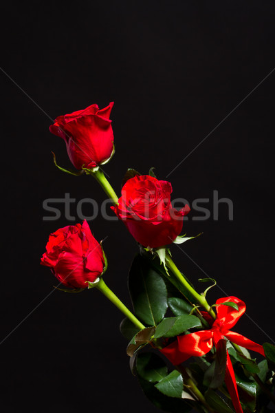 Rote Rose Bouquet rote Rosen schwarz Blume Blumen Stock foto © Peredniankina