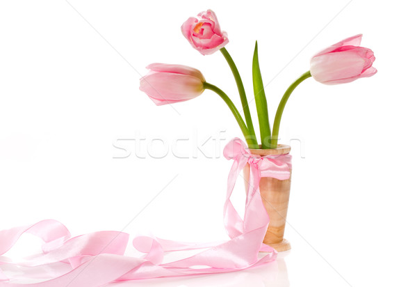 pink tulips Stock photo © Peredniankina