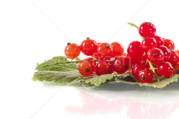 [[stock_photo]]: Groseille · rouge · groseille · laisse · blanche · fond