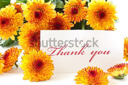 Stock foto: Bouquet · orange · Blüten · weiß · Blume · Blumen