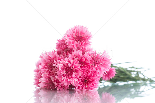 Fényes virágcsokor szeretet születésnap háttér keret Stock fotó © Peredniankina